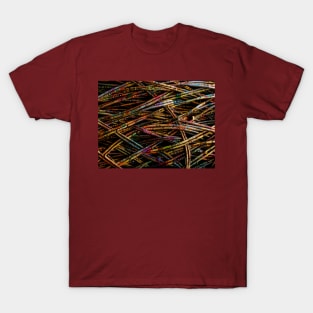 Wicked Willow T-Shirt